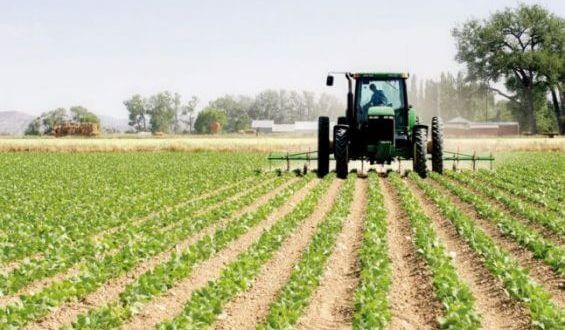 campagne_agricole_maroc-1-565x330